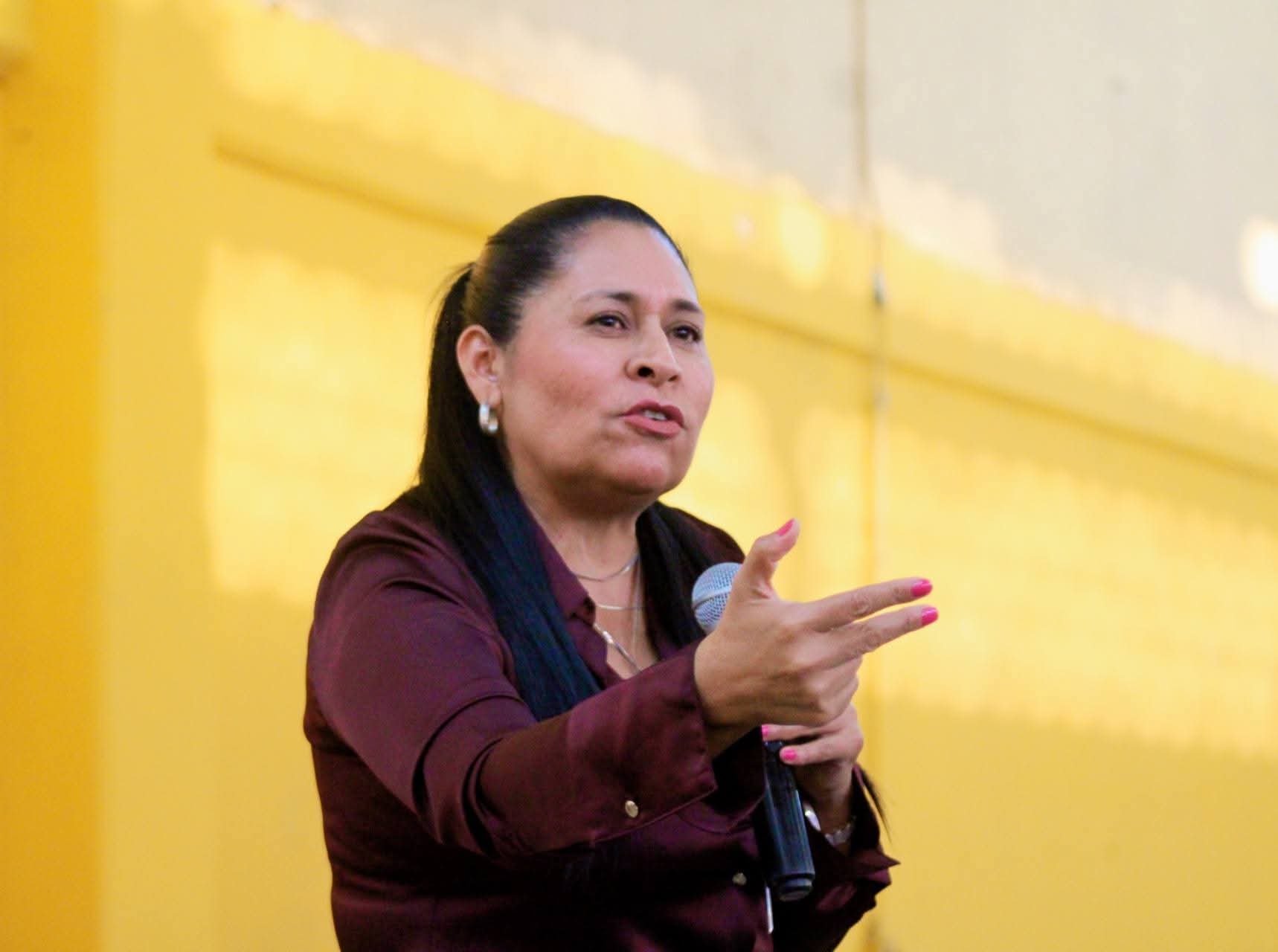 Reconoce Ana Lilia Rivera estrategia del gobierno de México ante deportación de migrantes de EUA